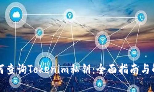 如何查詢Tokenim私鑰：全面指南與解析