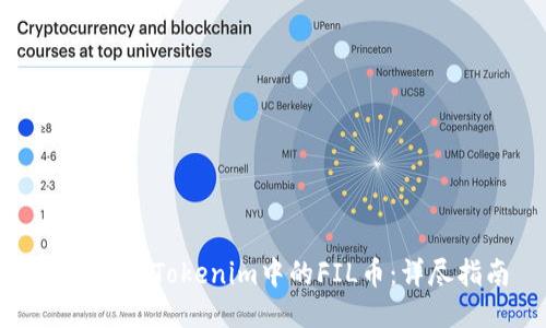 如何查詢Tokenim中的FIL幣：詳盡指南