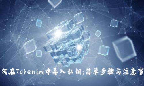 如何在Tokenim中導入私鑰：簡單步驟與注意事項