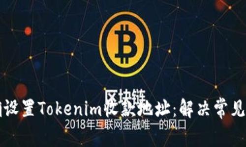 如何正確設置Tokenim收款地址：解決常見問題指南