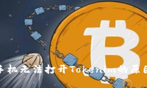 標題: 安卓手機無法打開Tokenim的原因及解決方法