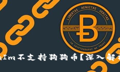 為什么TokenIm不支持狗狗幣？深入解析與替代方案