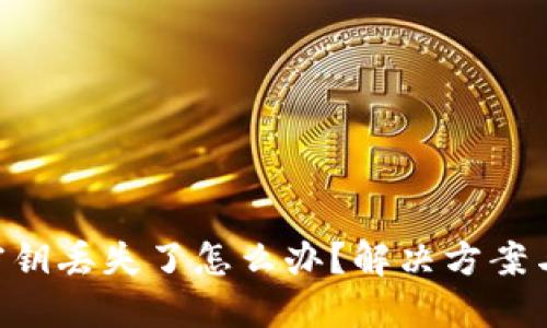 Tokenim密鑰丟失了怎么辦？解決方案與預防措施