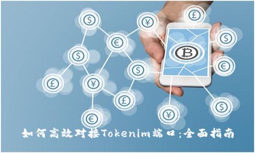 如何高效對接Tokenim端口：全面指南