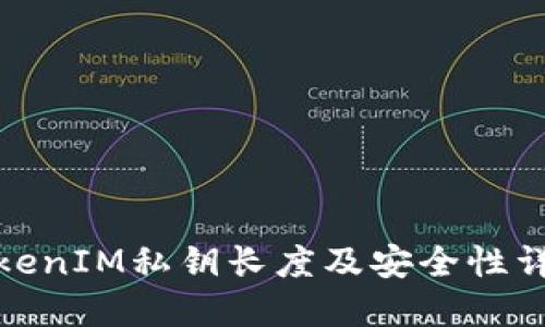 TokenIM私鑰長度及安全性詳解