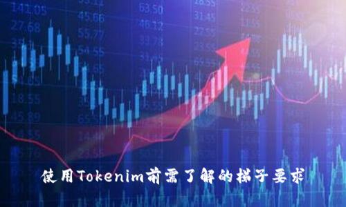 使用Tokenim前需了解的梯子要求