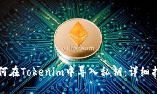 如何在Tokenim中導入私鑰：詳細指南