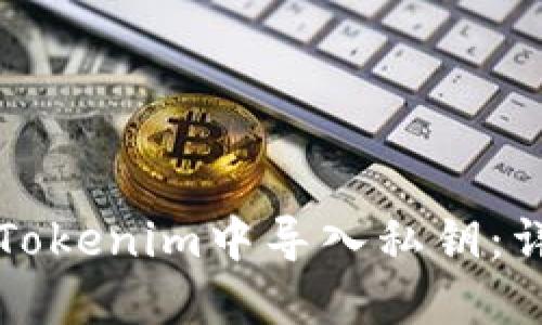 如何在Tokenim中導入私鑰：詳細指南