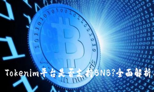 ### Tokenim平臺是否支持BNB?全面解析與指南