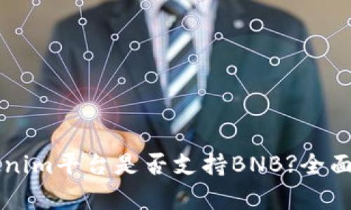 ### Tokenim平臺是否支持BNB?全面解析與指南