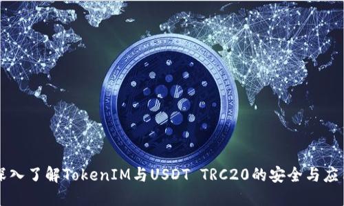 深入了解TokenIM與USDT TRC20的安全與應用