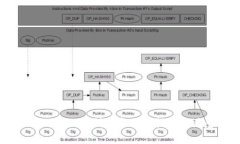 ### imToken：判斷真偽的指南