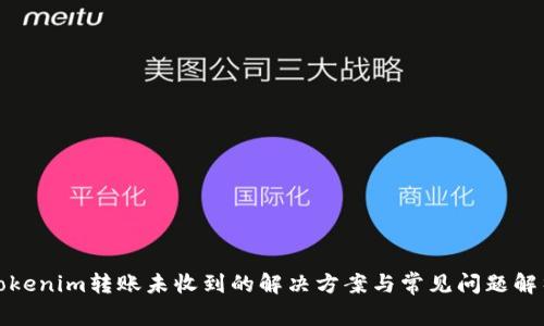 Tokenim轉賬未收到的解決方案與常見問題解析