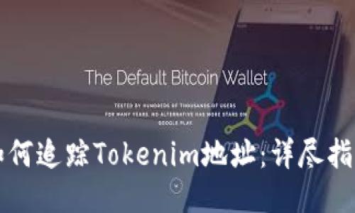 如何追蹤Tokenim地址：詳盡指南