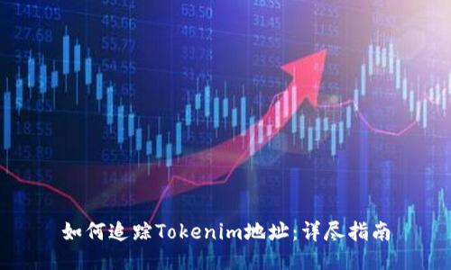 如何追蹤Tokenim地址：詳盡指南