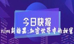 探索Tokenim新糖果：加密世