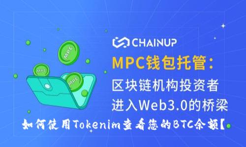 如何使用Tokenim查看您的BTC余額？