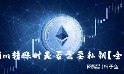 Tokenim轉賬時是否需要私鑰？全面解析