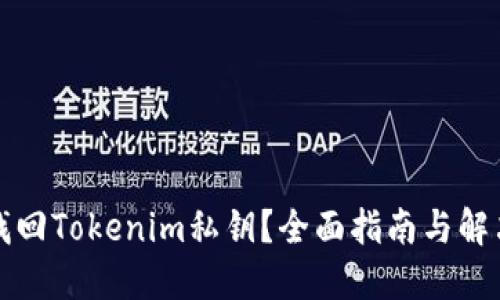 如何找回Tokenim私鑰？全面指南與解決方案