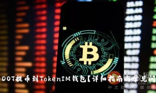 如何將DOT提幣到TokenIM錢包？詳細指南與常見問題解答