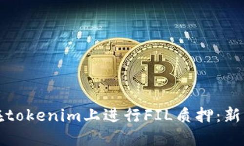 如何在tokenim上進行FIL質押：新手指南