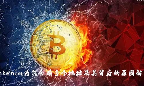 Tokenim為何會有多個地址及其背后的原因解析