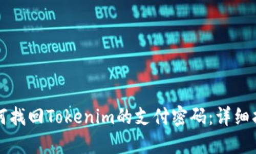 如何找回Tokenim的支付密碼：詳細指南